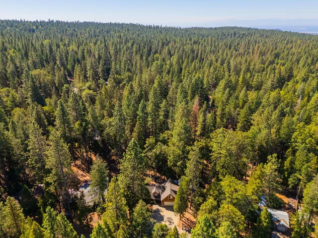 a view of a tree in a backyard of a house