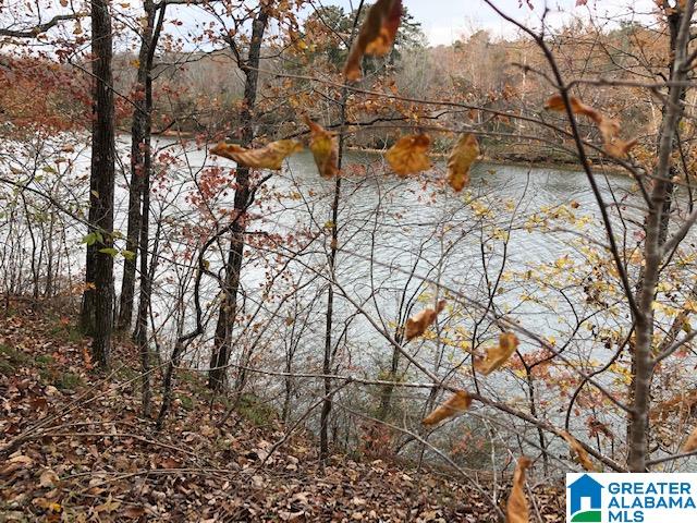 0 Underwood Ferry Road, Unit 2 ACRES Quinton, AL 35130 - Photo 2 of 5
