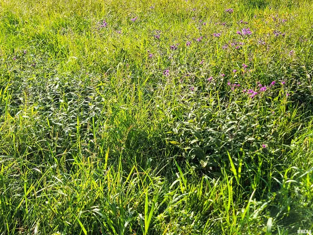 $150,000 | 325 South 5th Street Southwest, Clay City, IL 62824