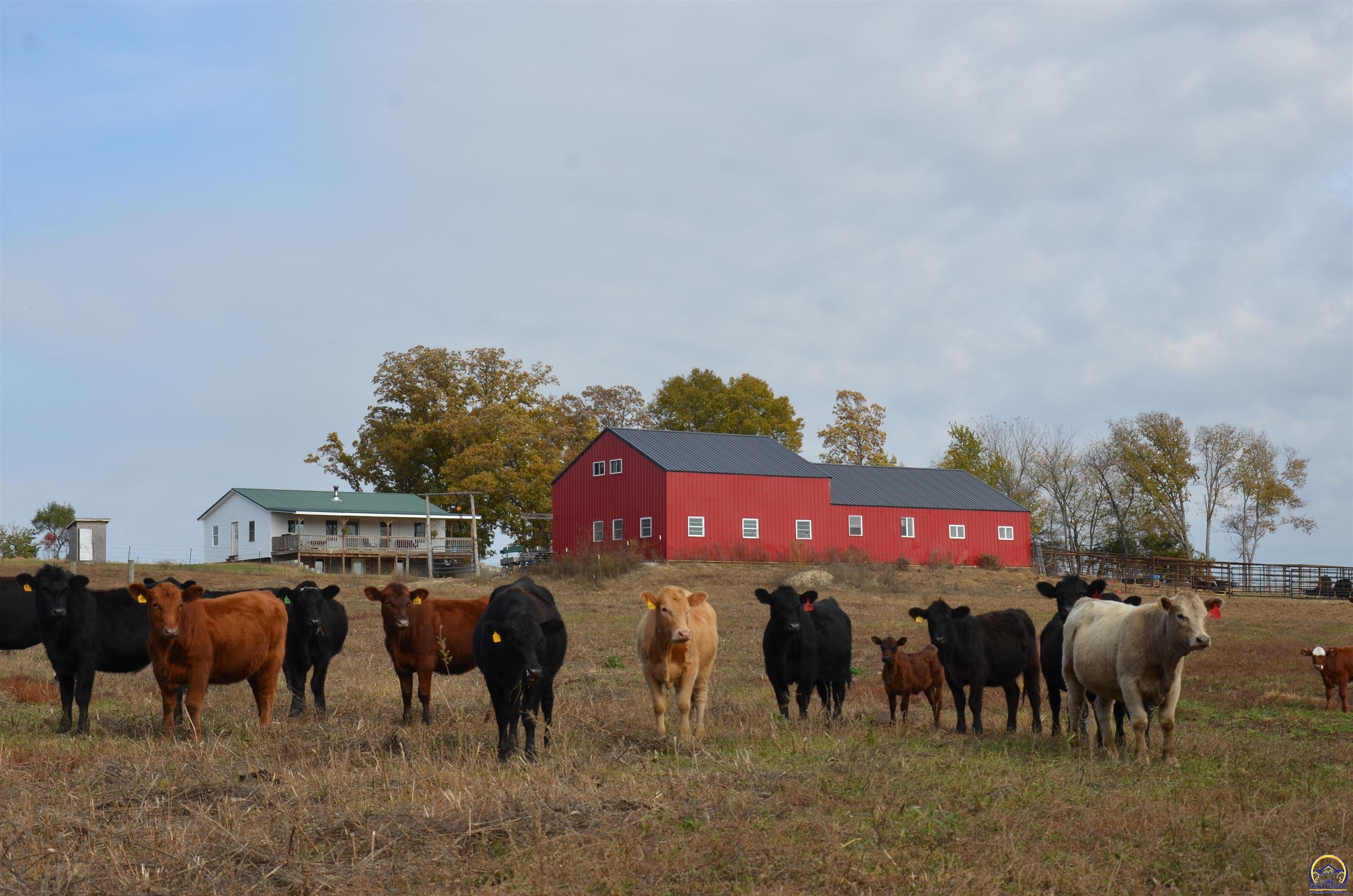 20031 South Berryton Road Lyndon, KS 66451 - Photo 1 of 98