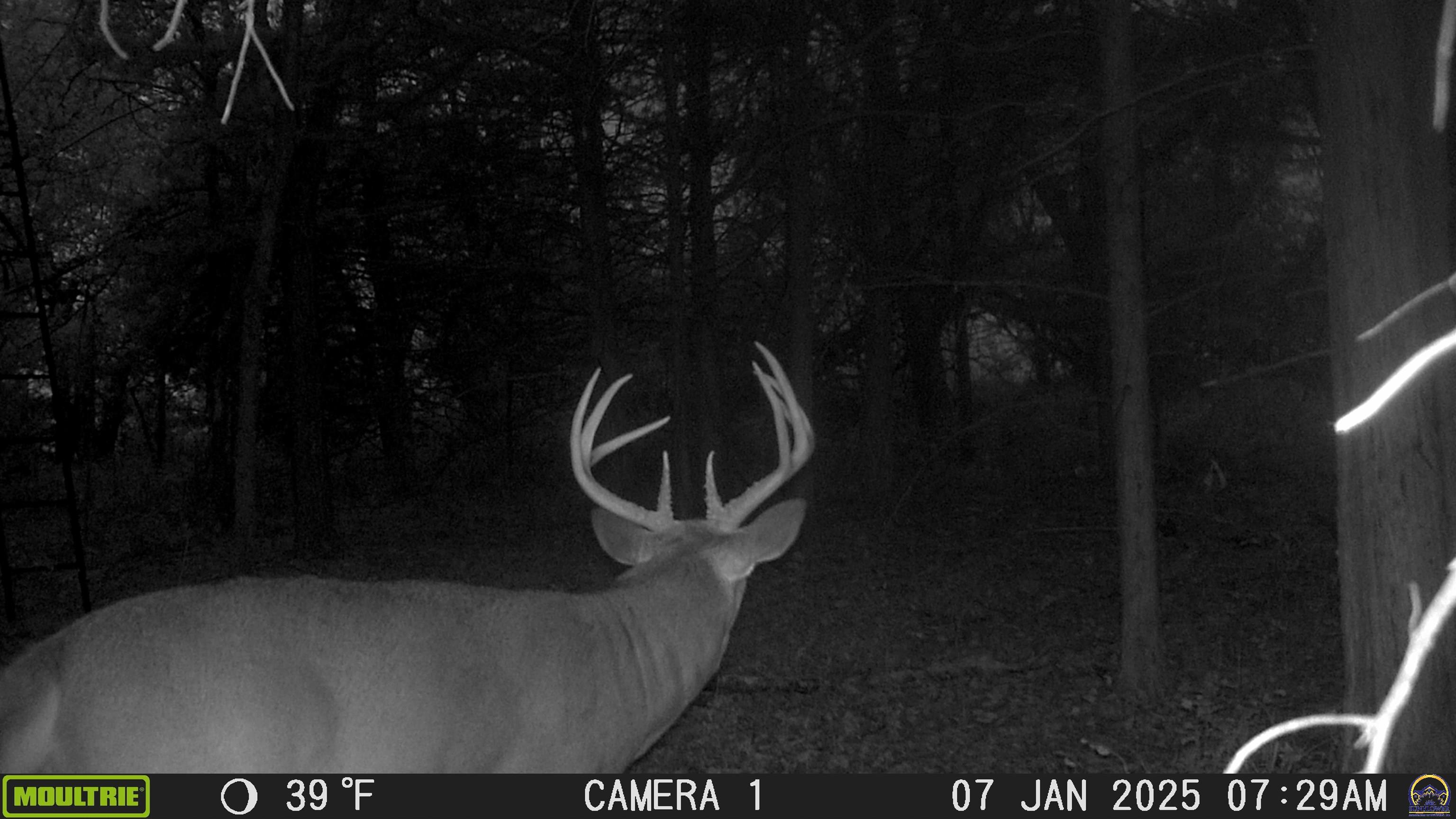 20031 South Berryton Road Lyndon, KS 66451 - Photo 36 of 98 Trail Cam