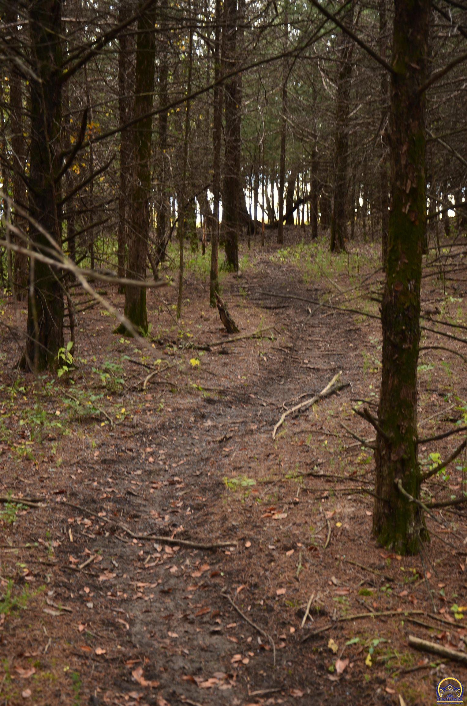 20031 South Berryton Road Lyndon, KS 66451 - Photo 41 of 98