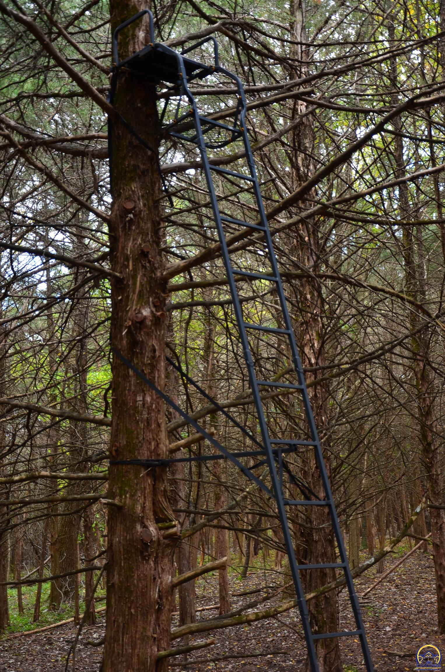 20031 South Berryton Road Lyndon, KS 66451 - Photo 43 of 98