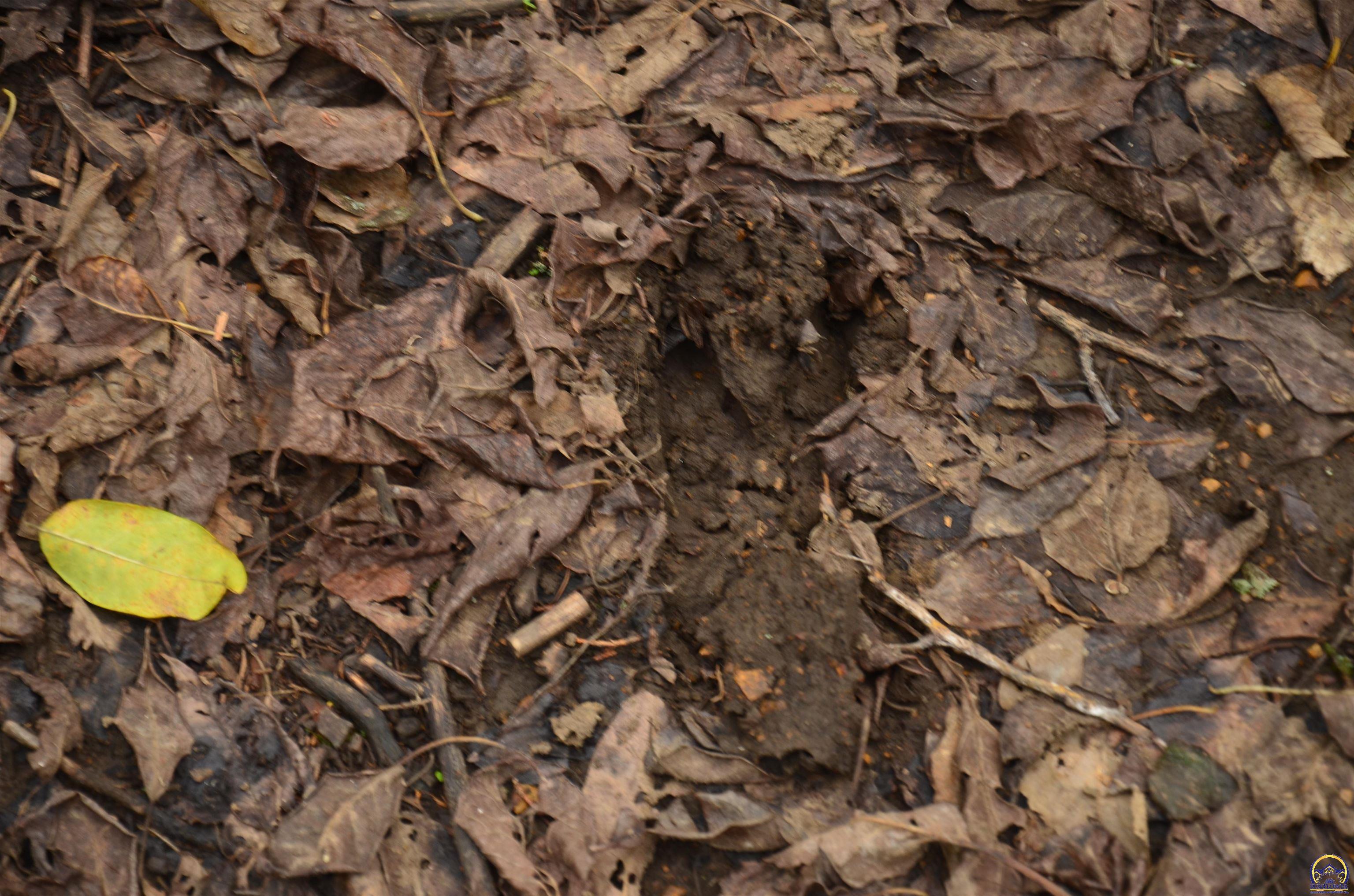 20031 South Berryton Road Lyndon, KS 66451 - Photo 44 of 98