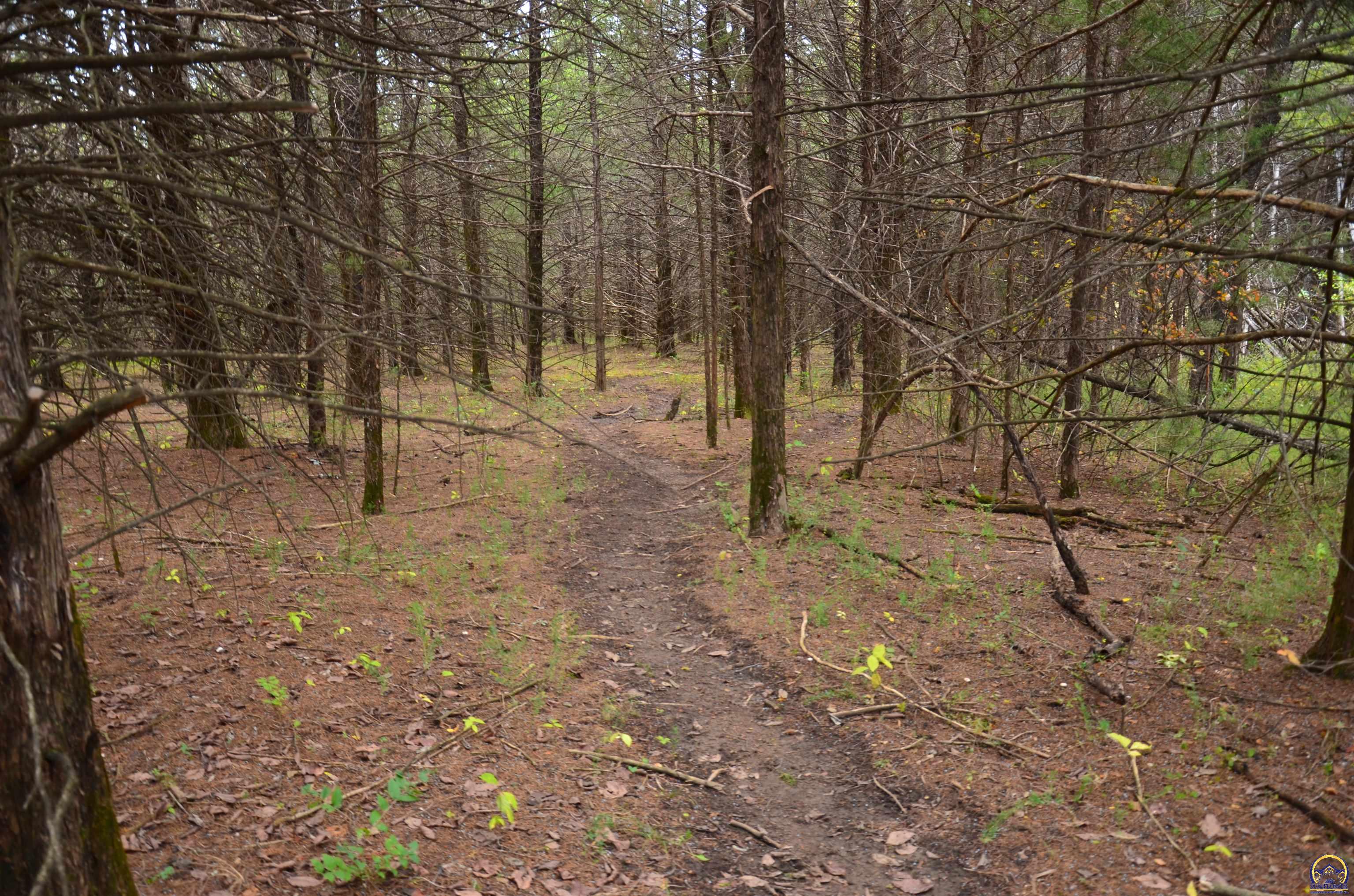 20031 South Berryton Road Lyndon, KS 66451 - Photo 48 of 98