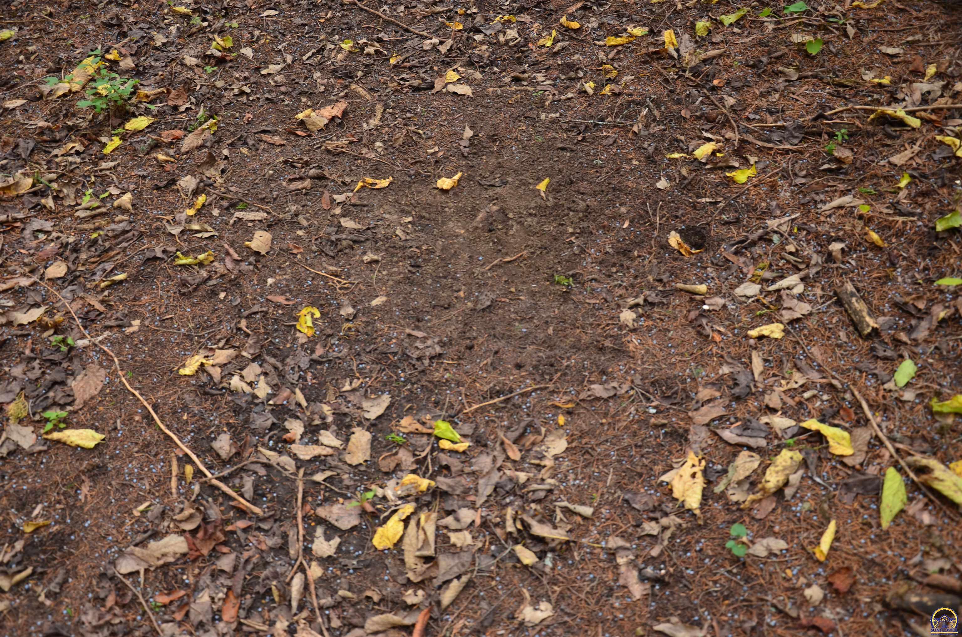 20031 South Berryton Road Lyndon, KS 66451 - Photo 49 of 98