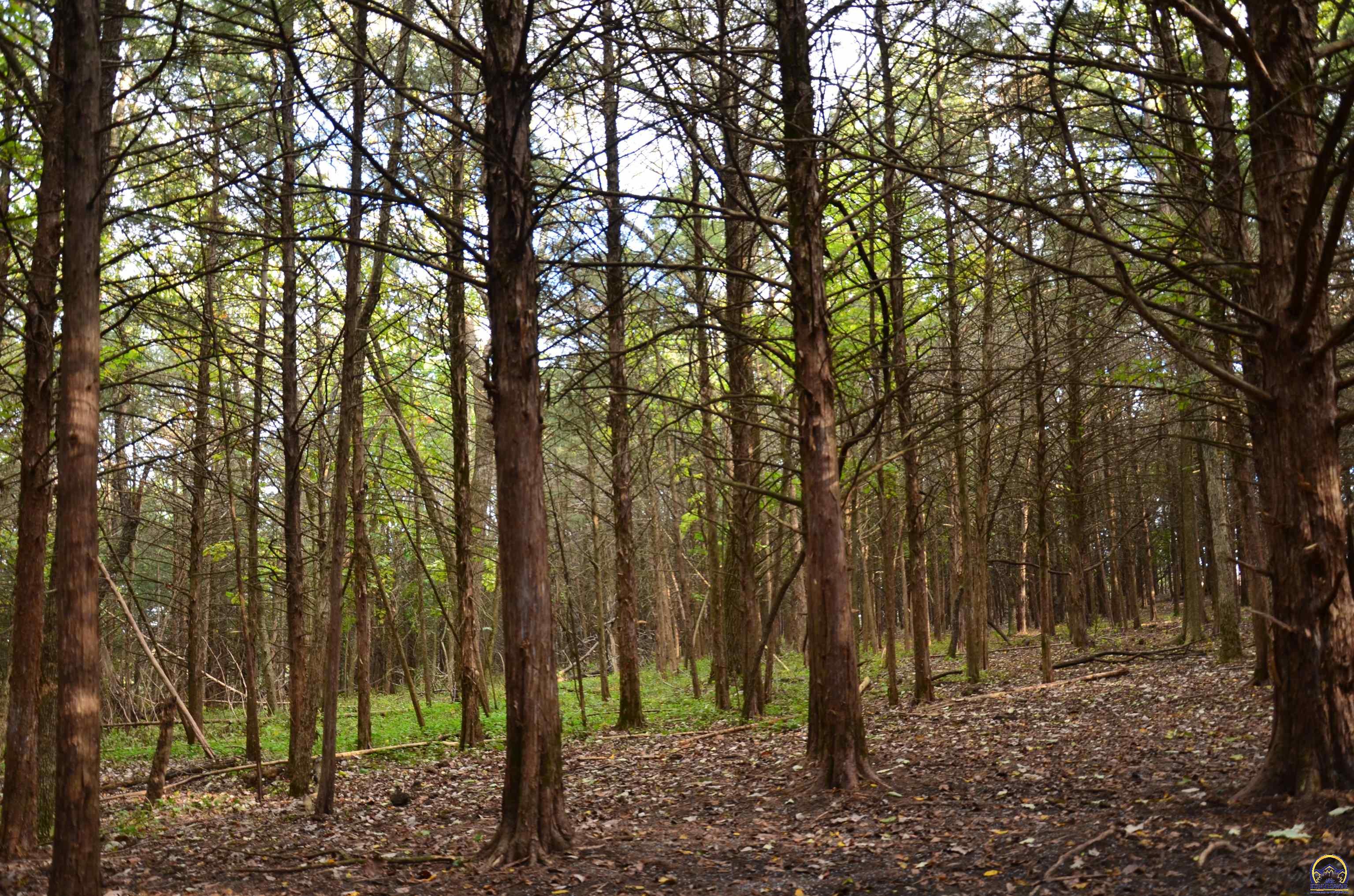 20031 South Berryton Road Lyndon, KS 66451 - Photo 52 of 98