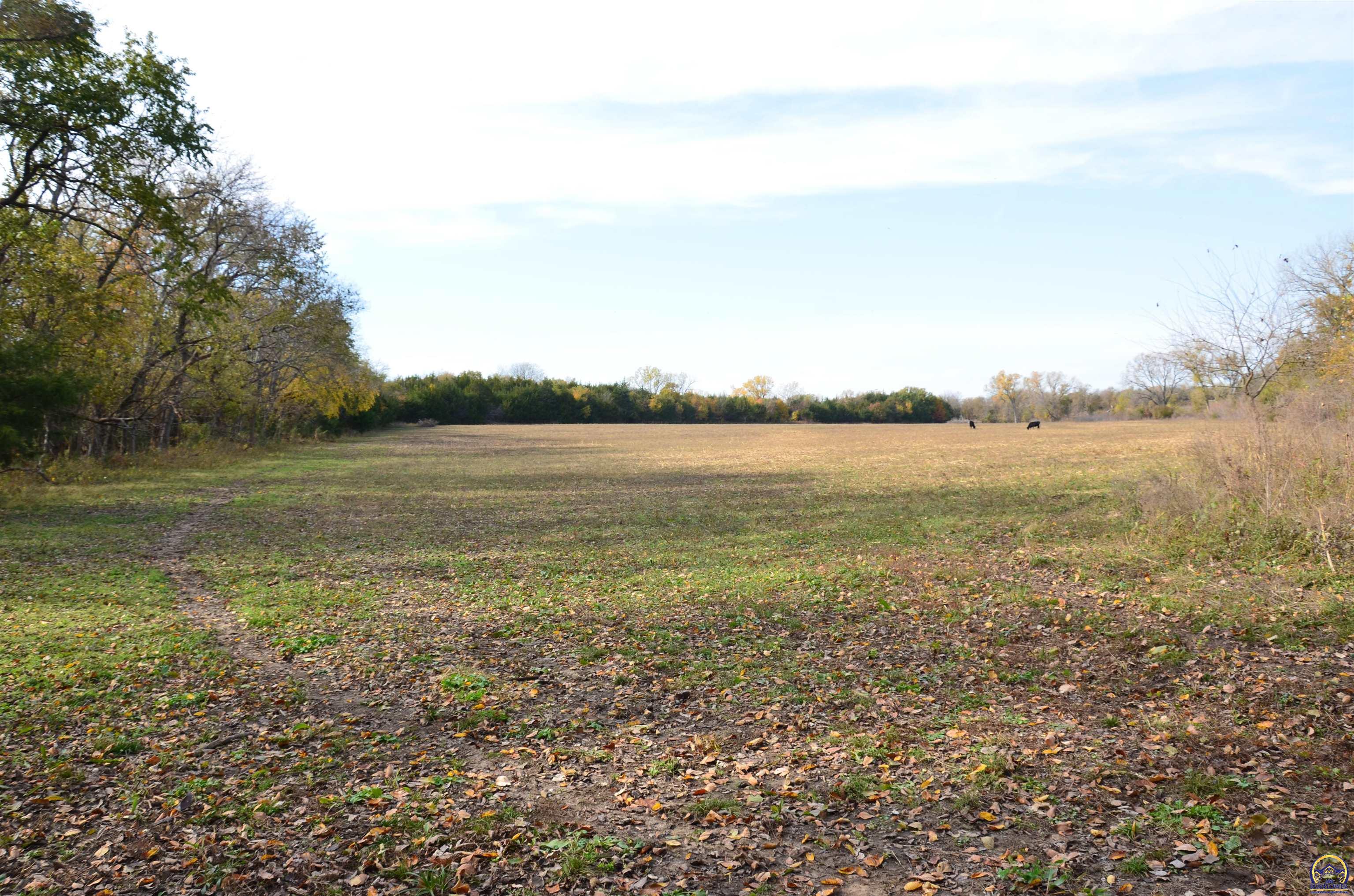 20031 South Berryton Road Lyndon, KS 66451 - Photo 61 of 98