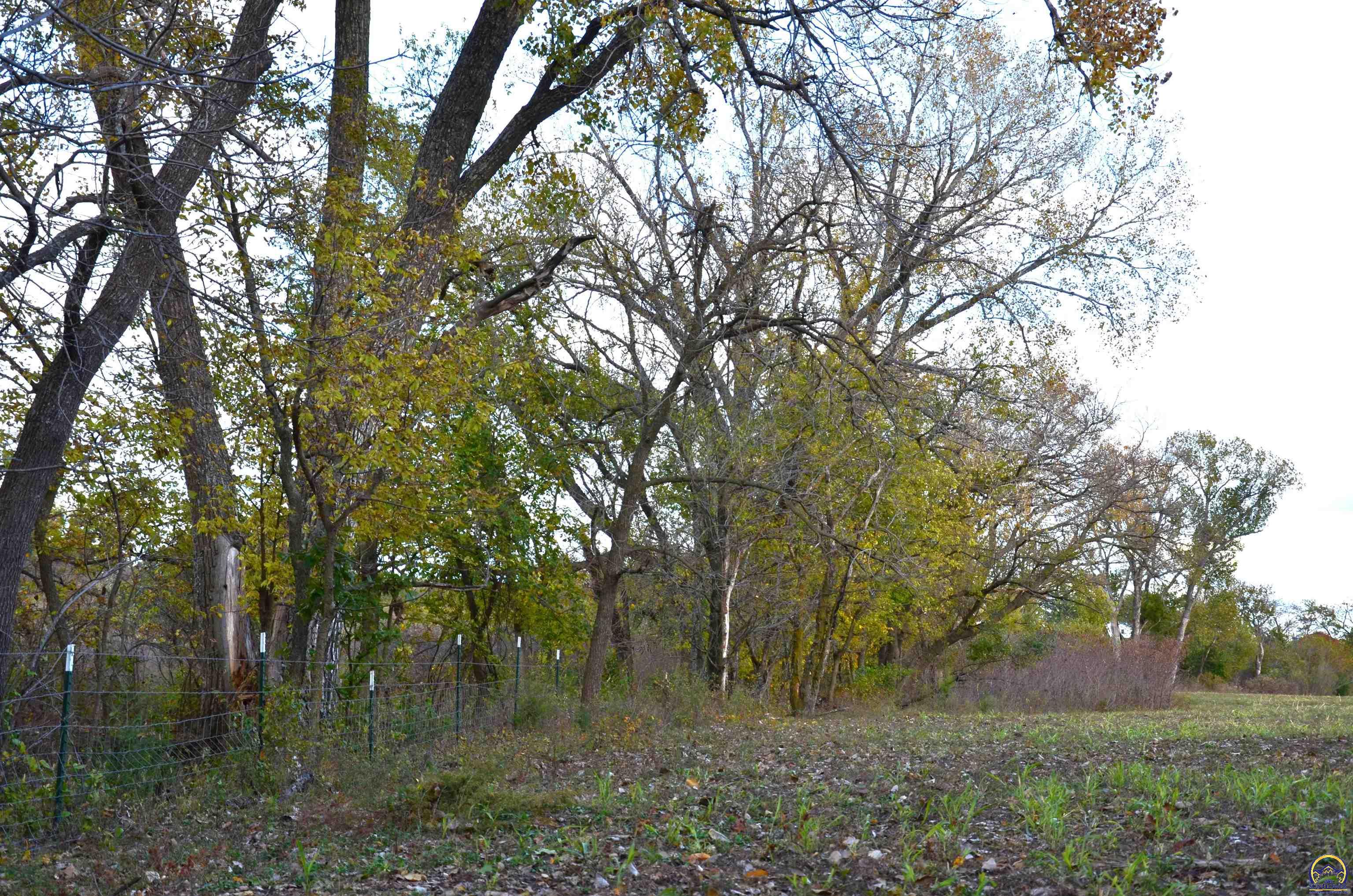 20031 South Berryton Road Lyndon, KS 66451 - Photo 66 of 98