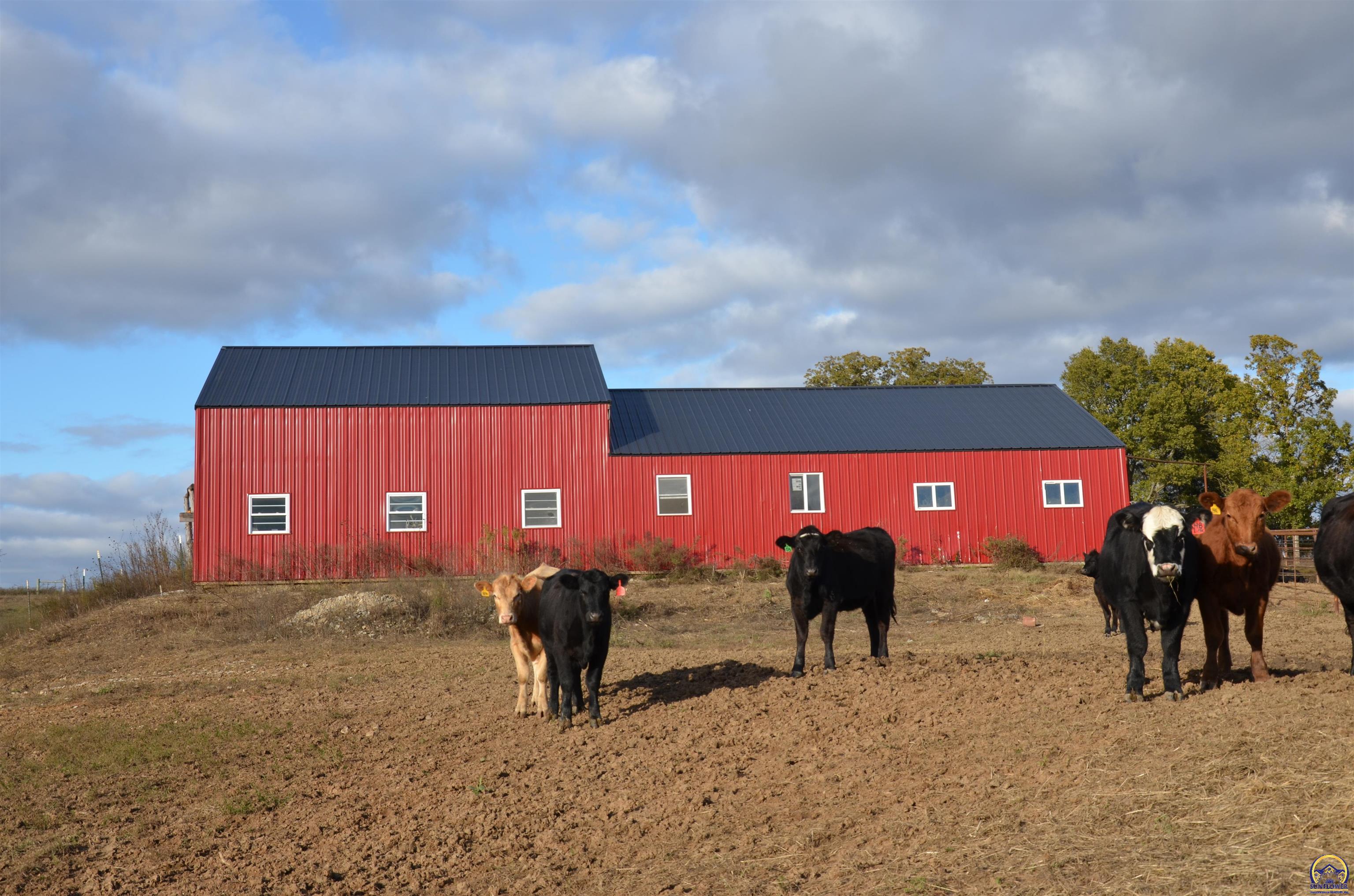 20031 South Berryton Road Lyndon, KS 66451 - Photo 8 of 98
