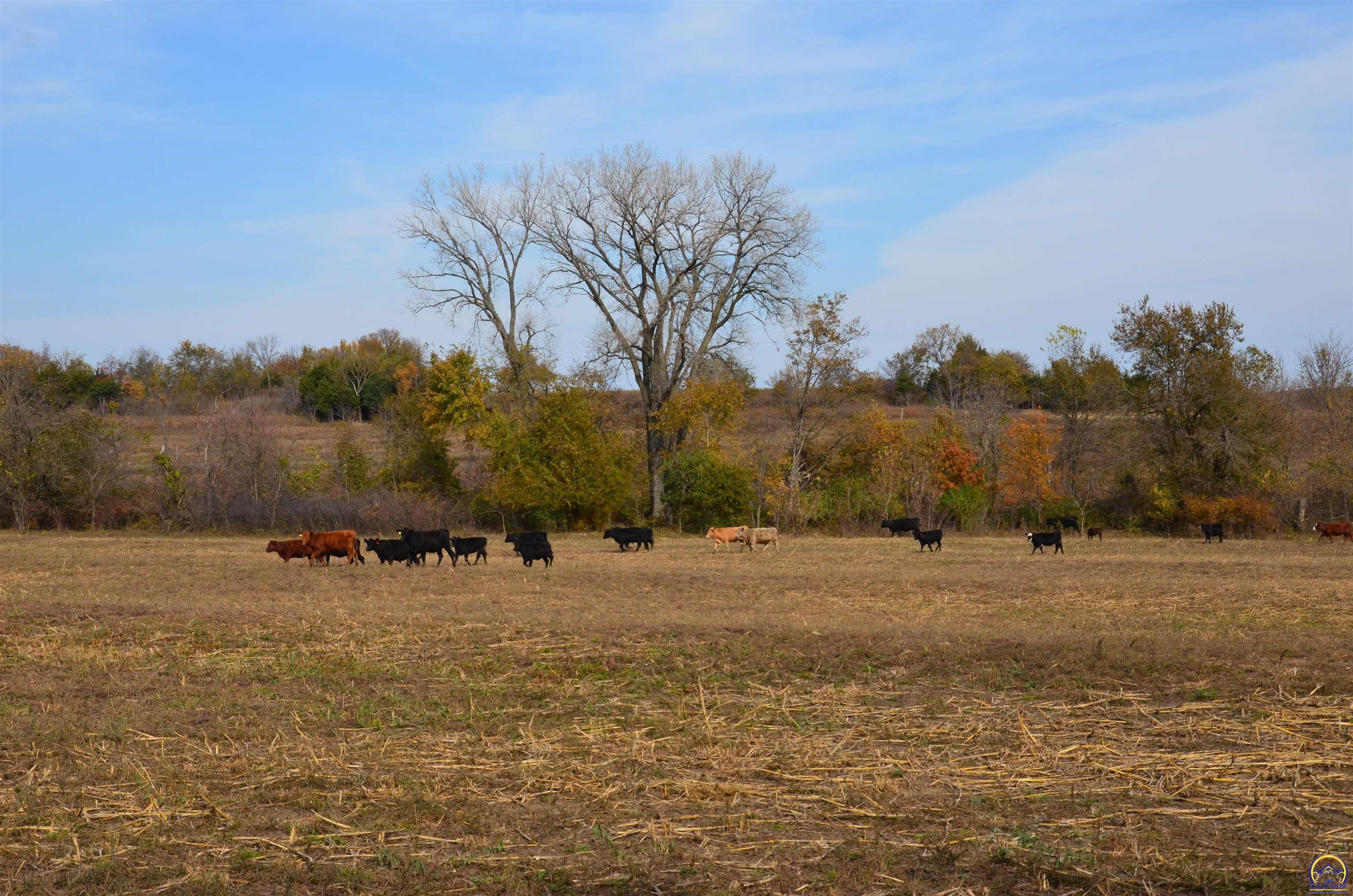 20031 South Berryton Road Lyndon, KS 66451 - Photo 9 of 98