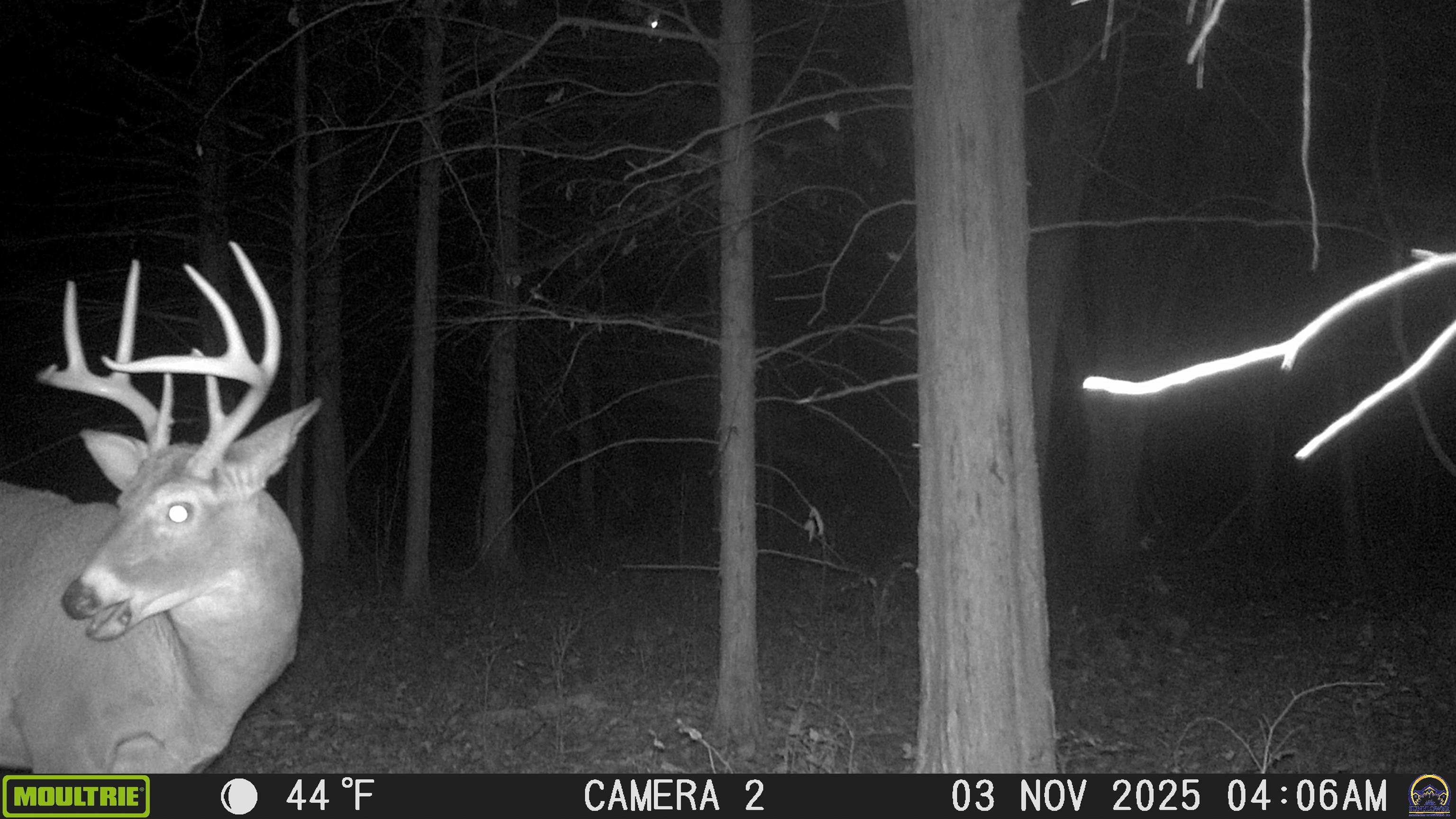 20031 South Berryton Road Lyndon, KS 66451 - Photo 92 of 98 Trail Cam