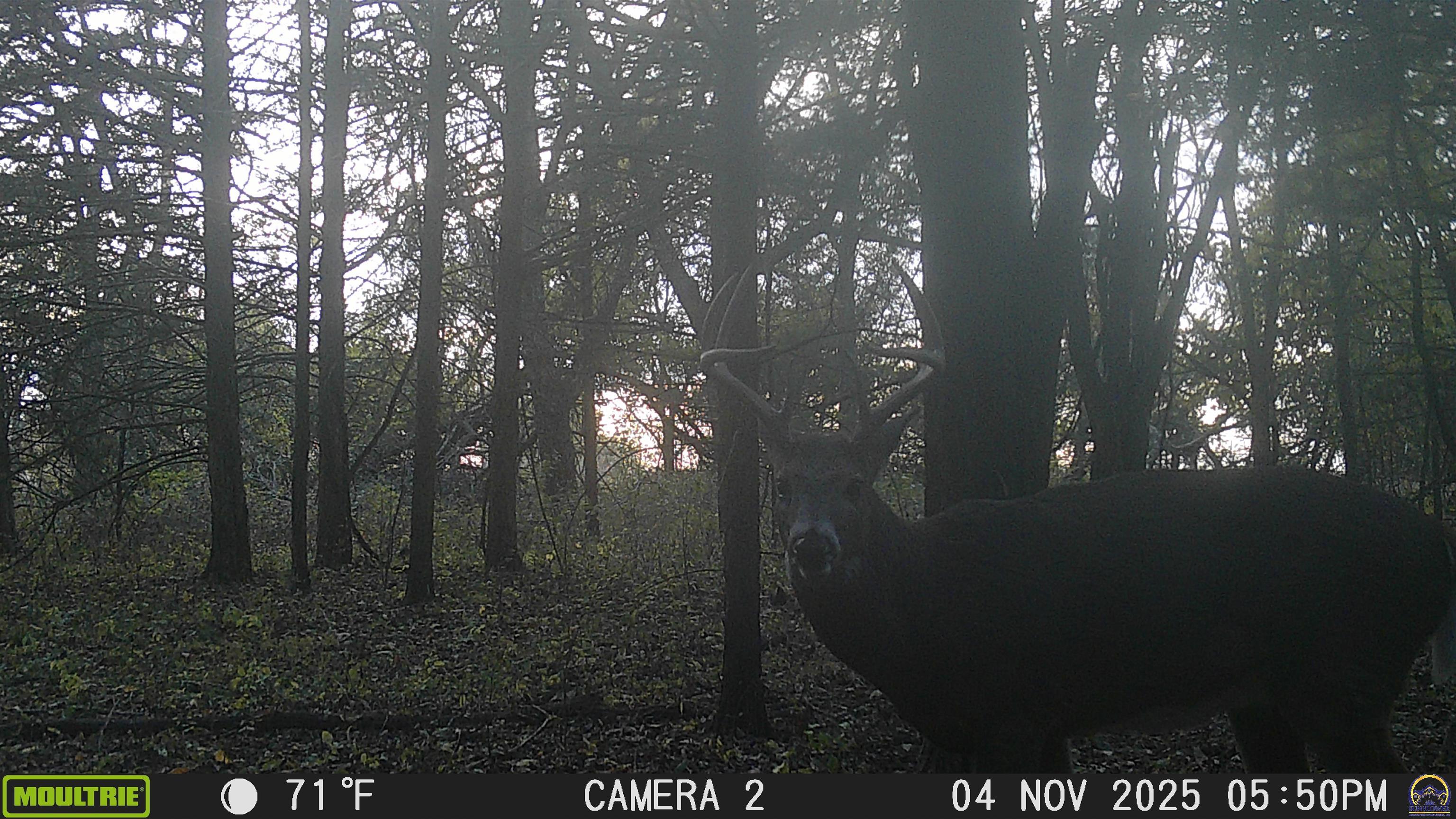 20031 South Berryton Road Lyndon, KS 66451 - Photo 94 of 98 Trail Cam