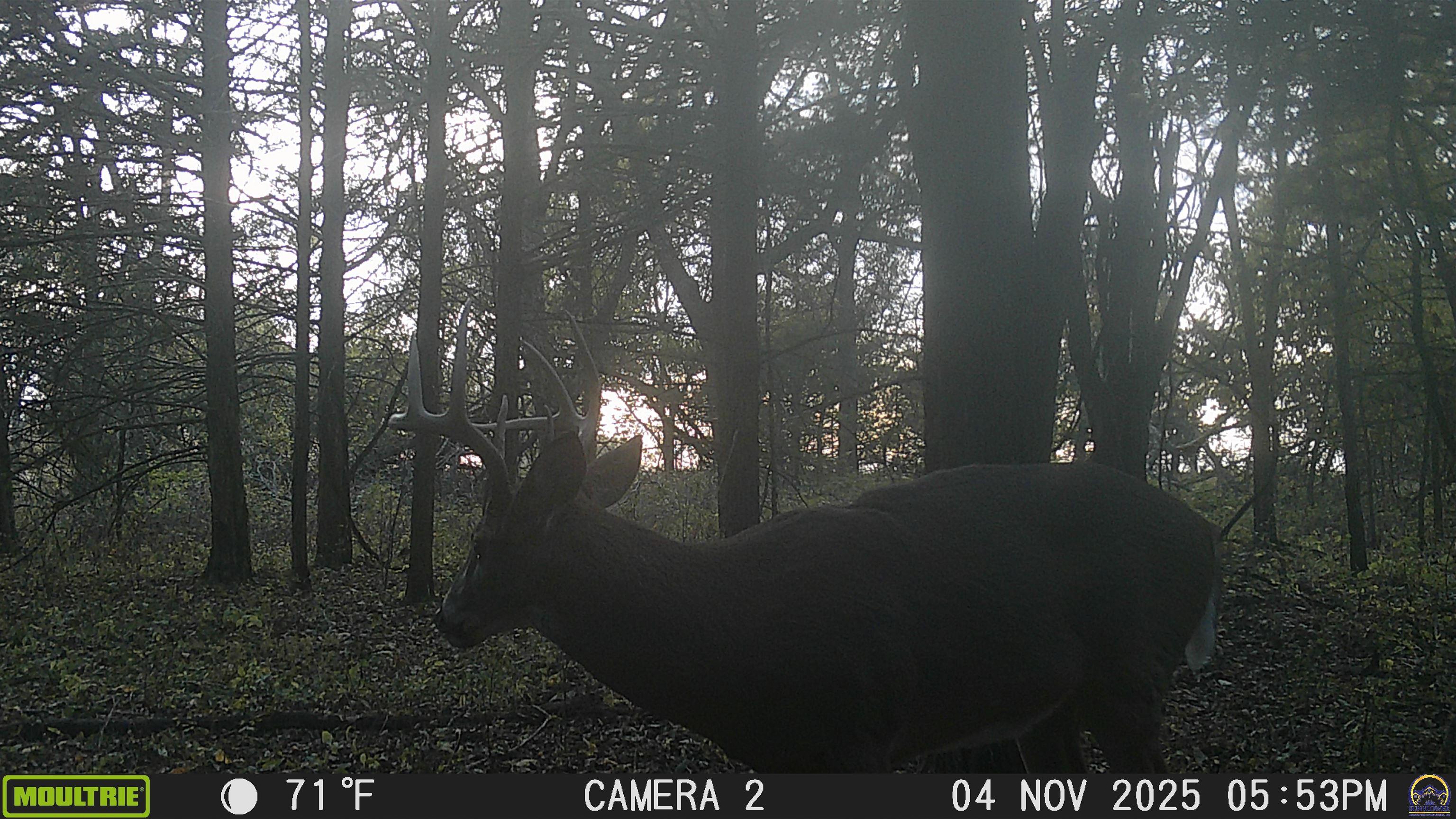 20031 South Berryton Road Lyndon, KS 66451 - Photo 95 of 98 Trail Cam