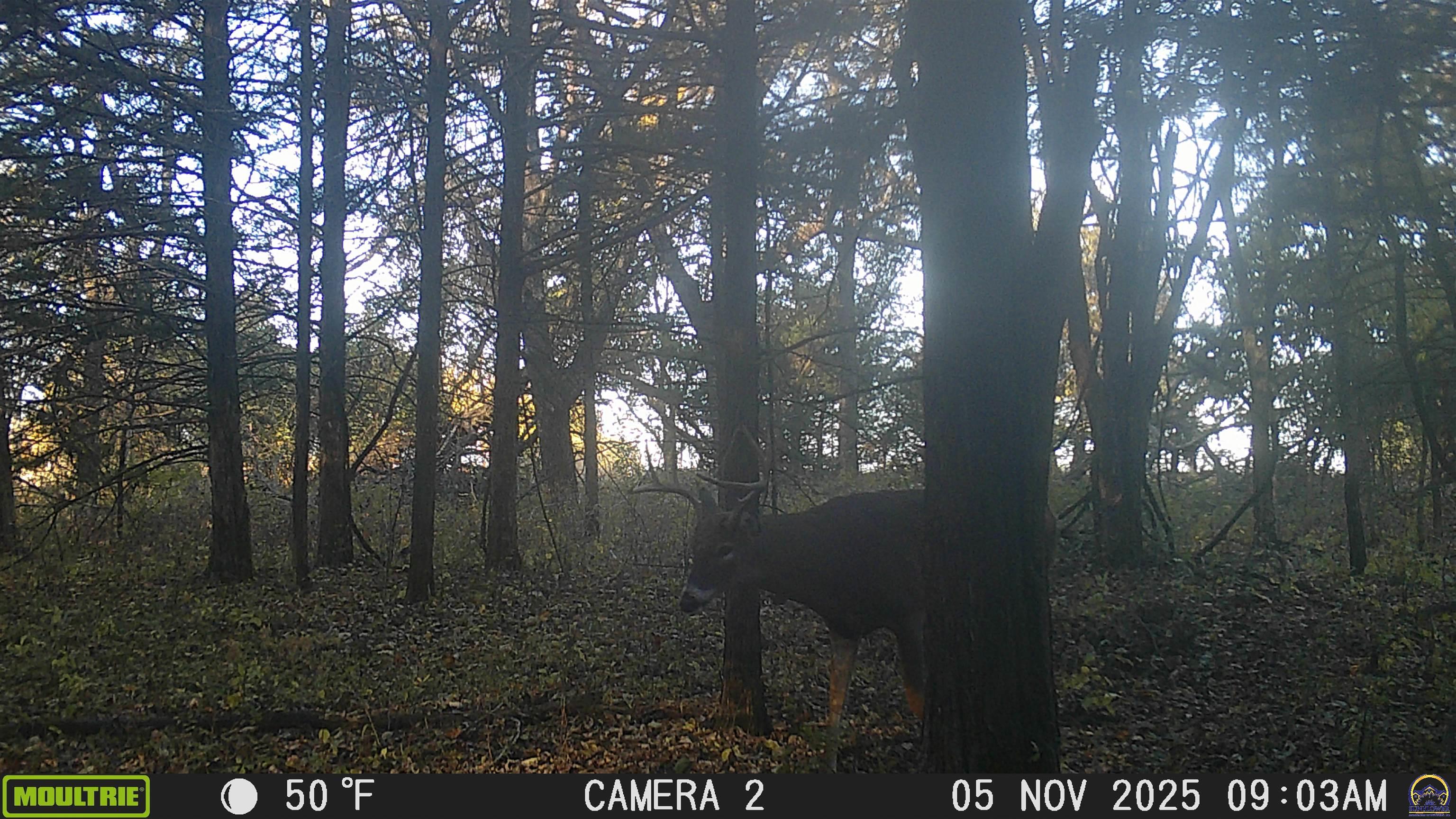 20031 South Berryton Road Lyndon, KS 66451 - Photo 97 of 98 Trail Cam