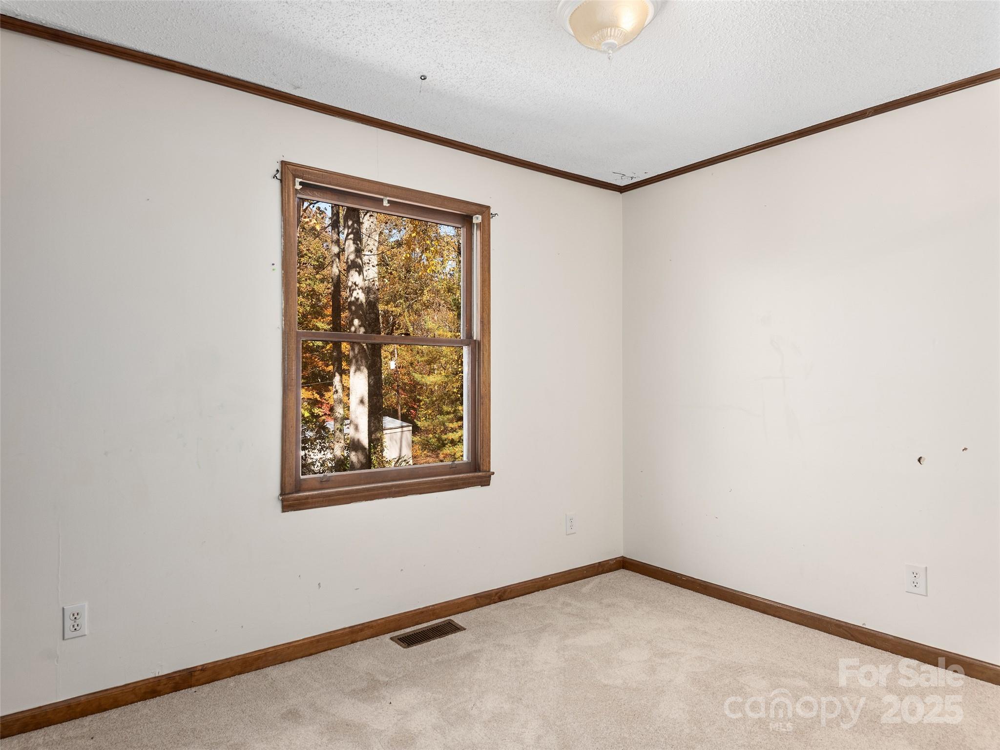 54 Sam King Road Hendersonville, NC 28739 - Photo 12 of 27 Gallery Image 12