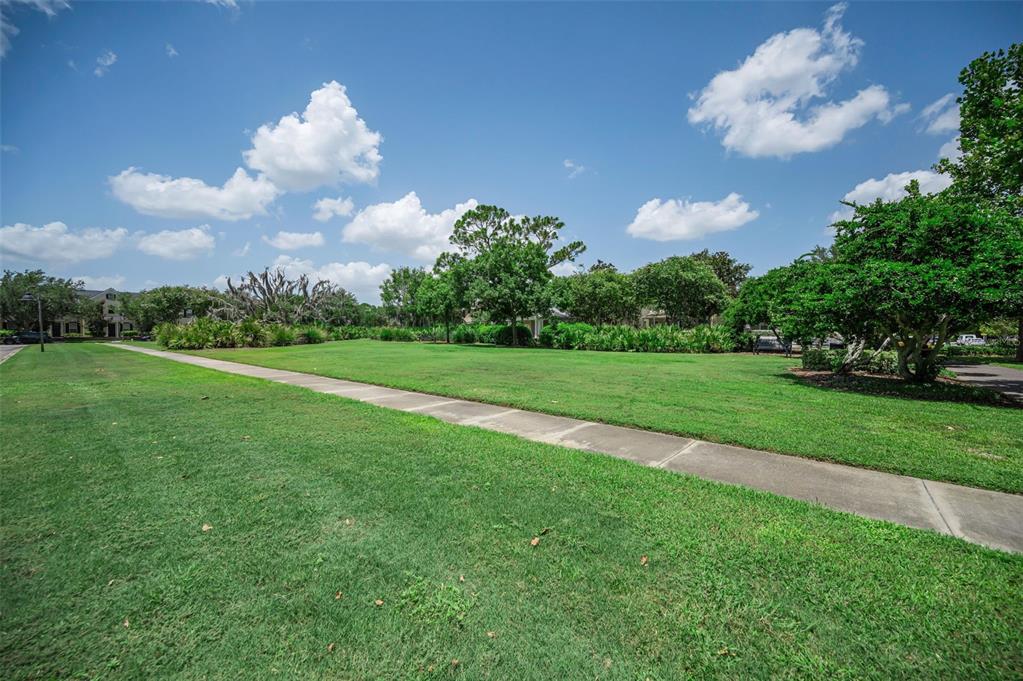3436 Lonzalo Way New Port Richey, FL 34655 - Photo 47 of 52