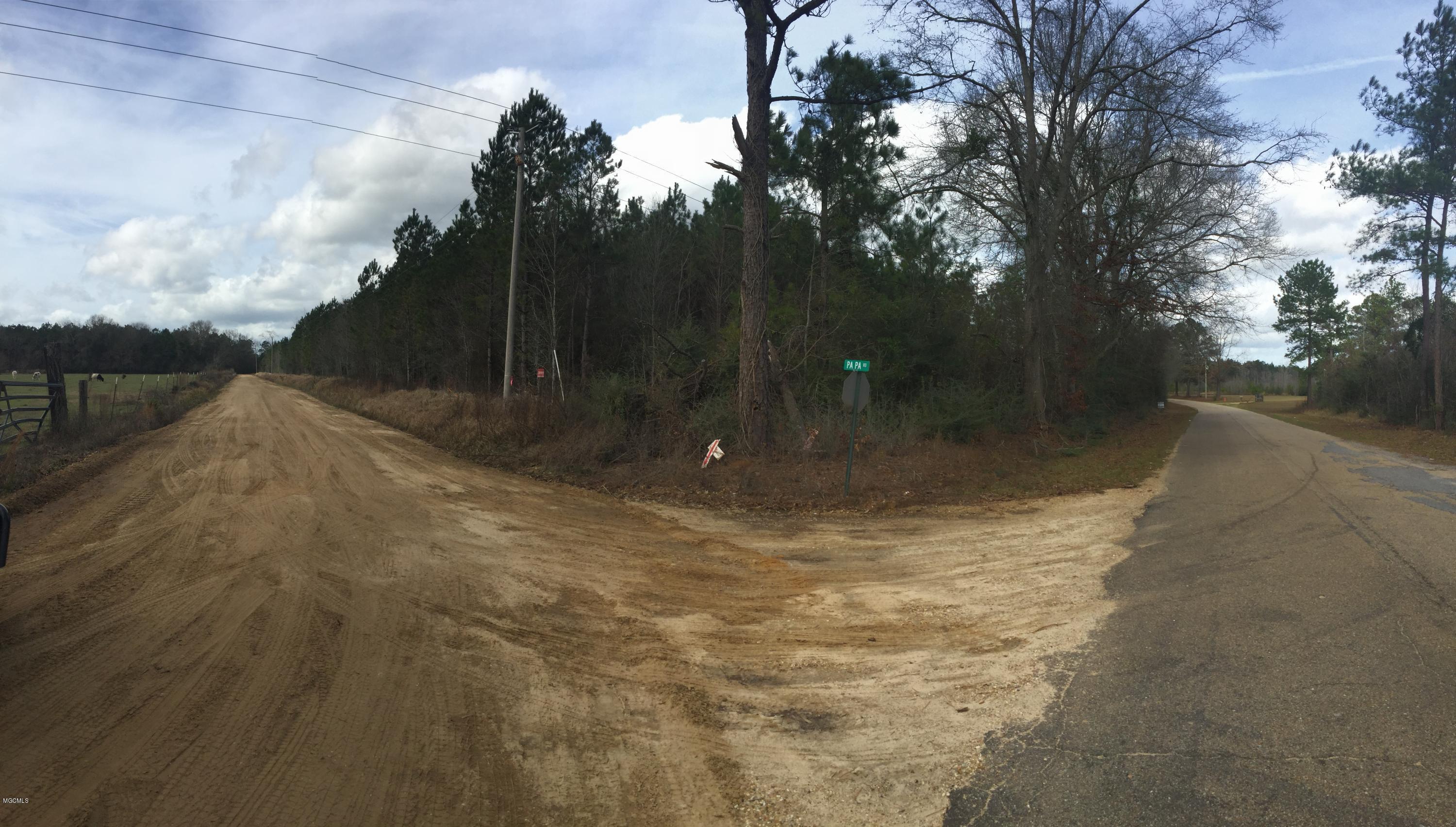 0 St Ellen Road Leakesville, MS 39451 - Photo 1 of 5 311