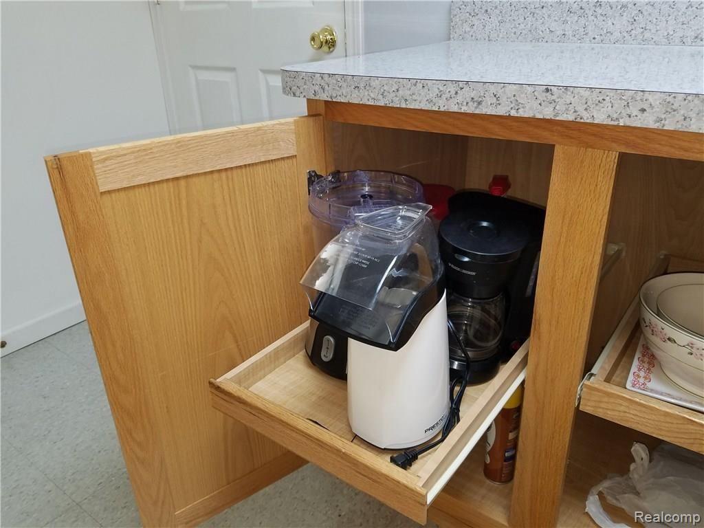 29667 Reed Drive Flat Rock, MI 48134 - Photo 26 of 41 Pull out shelving.