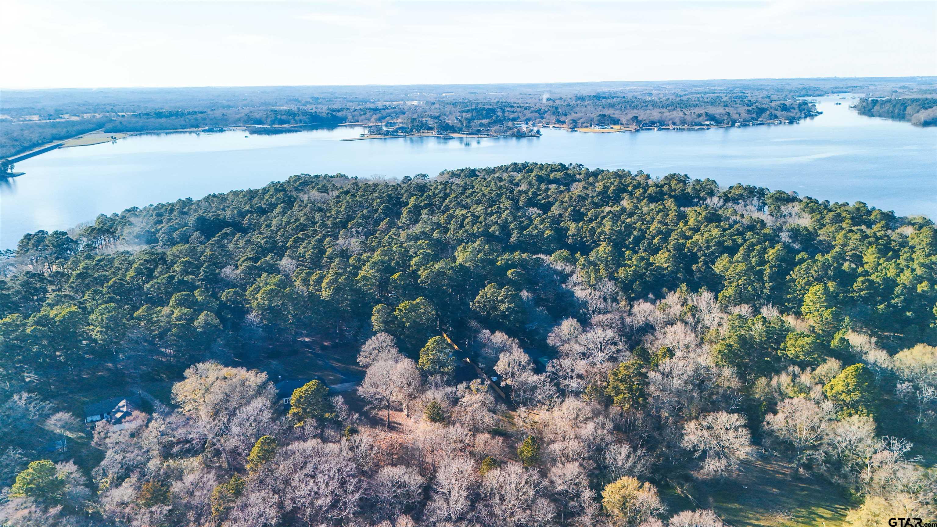 18219 Eastside Road Troup, TX 75789 - Photo 42 of 48 an aerial view of a houses with a yard