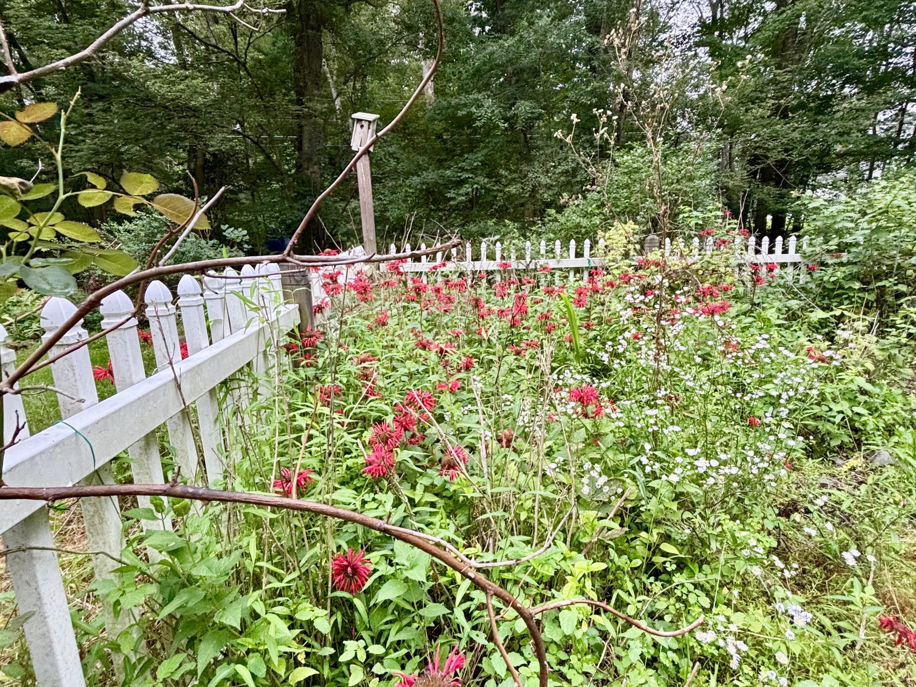 242 Herrick Road Brooklyn, CT 06234 - Photo 26 of 32