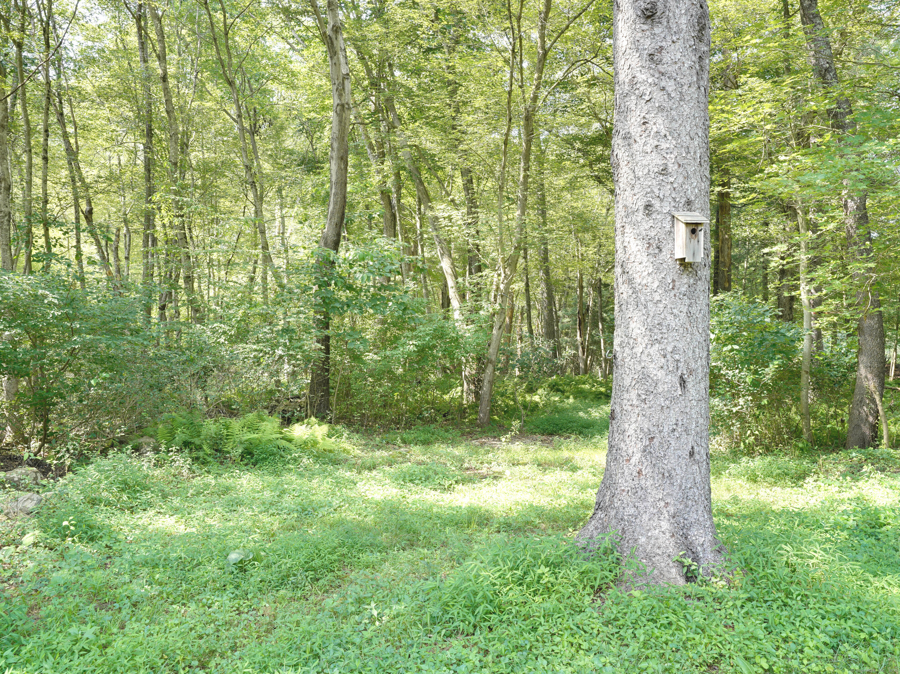 242 Herrick Road Brooklyn, CT 06234 - Photo 27 of 32