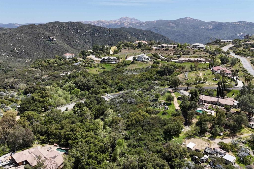 Via Viejas Oeste Alpine, CA 91901 - Photo 11 of 28 a view of a mountain in the distance in a field