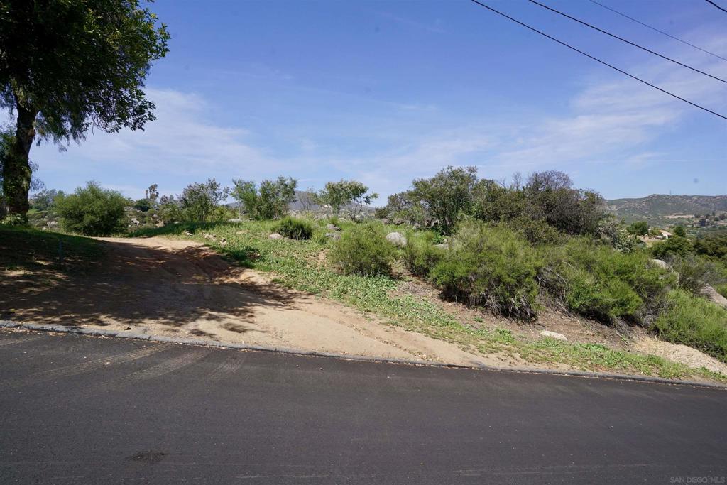 Via Viejas Oeste Alpine, CA 91901 - Photo 19 of 28 a view of a street with a trees