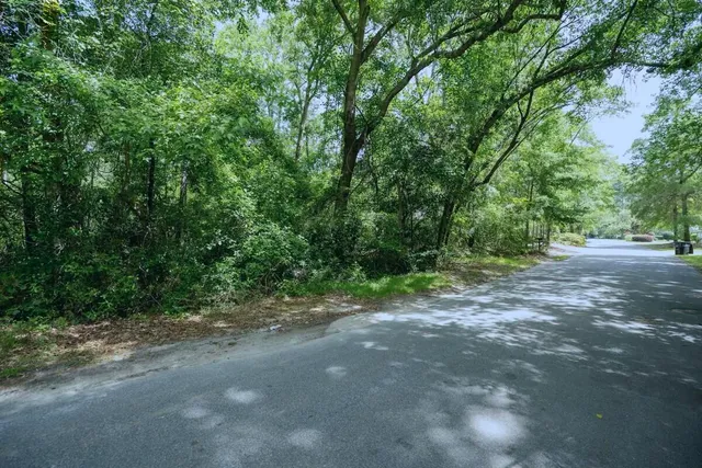 $20,000 | 0 Sable Street, Walterboro, SC 29488