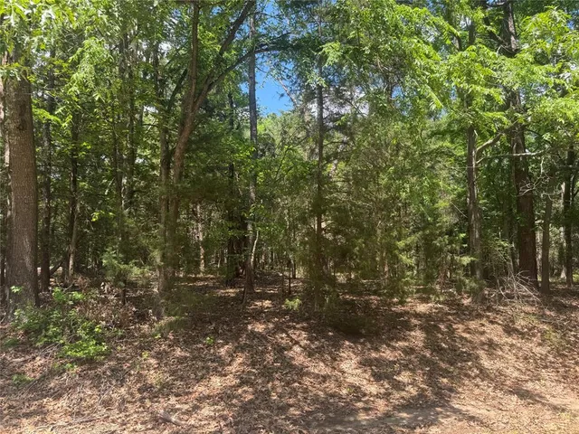 $9,500 | Lot 73 Cypress Creek Mount, Mount Vernon, TX 75457