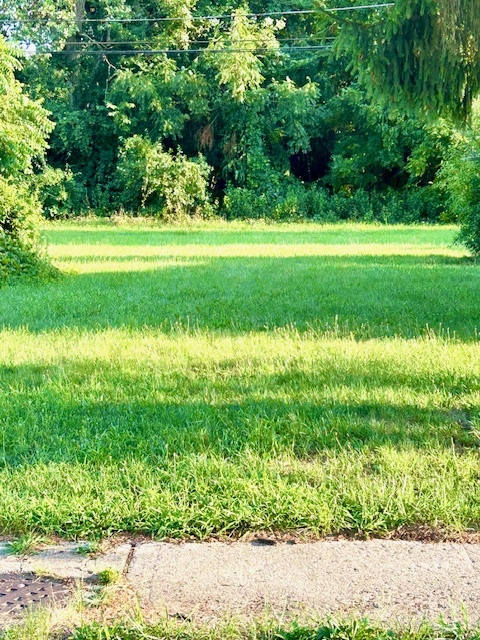 a view of a golf course with a lake