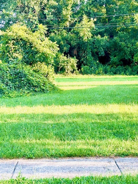 3803 139th Street Robbins, IL 60472 - Photo 2 of 2 a view of yard with green space