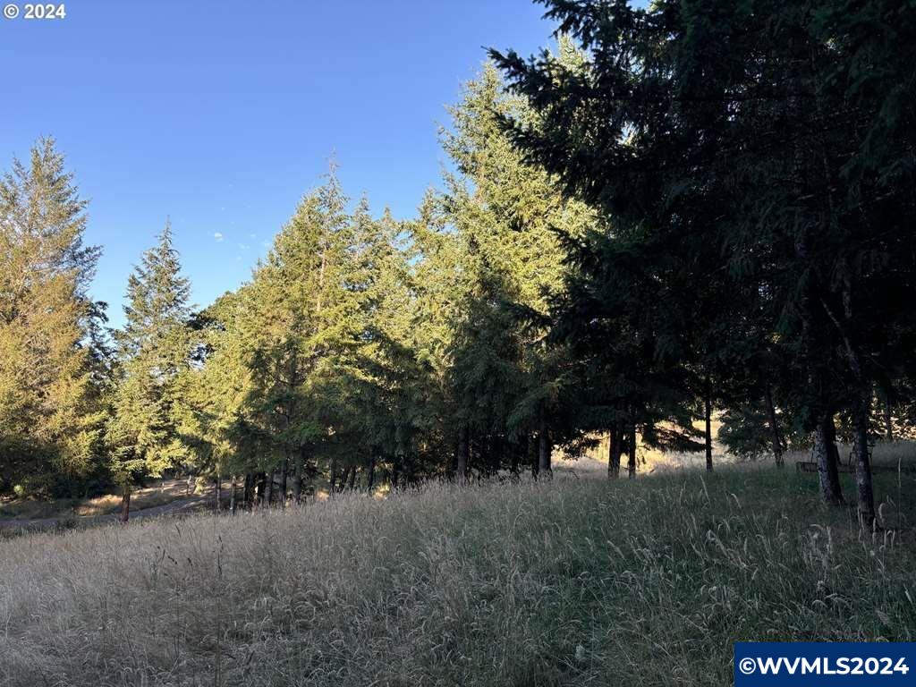 436096 May Road Dallas, OR 97338 - Photo 6 of 8
