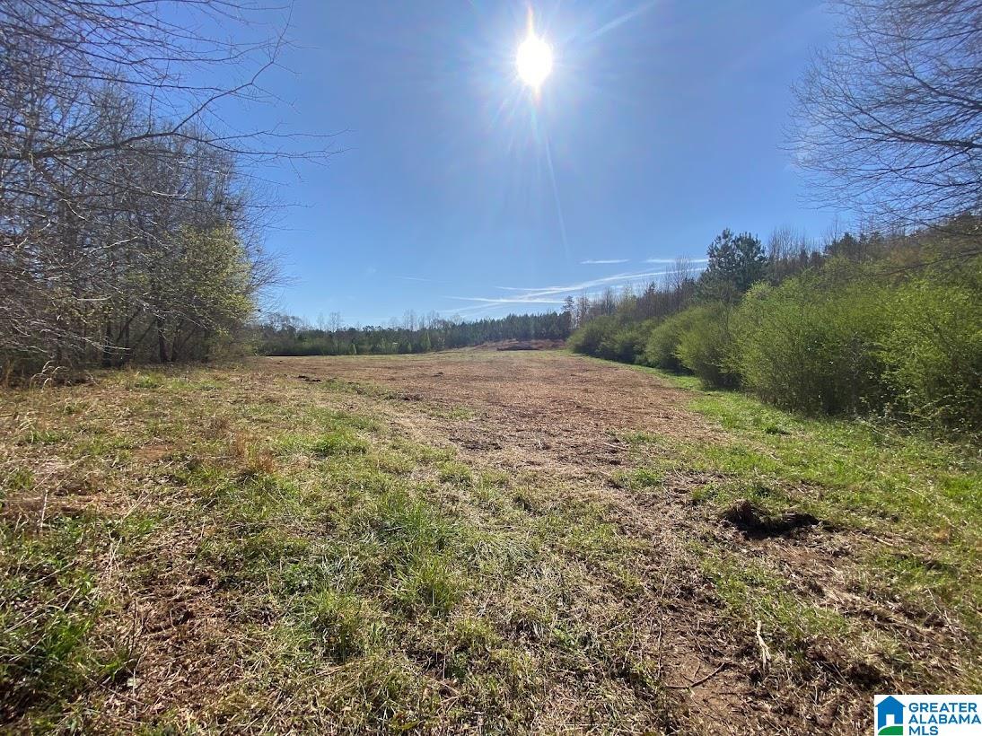 0 State Line Road Graham, AL 36263 - Photo 5 of 8