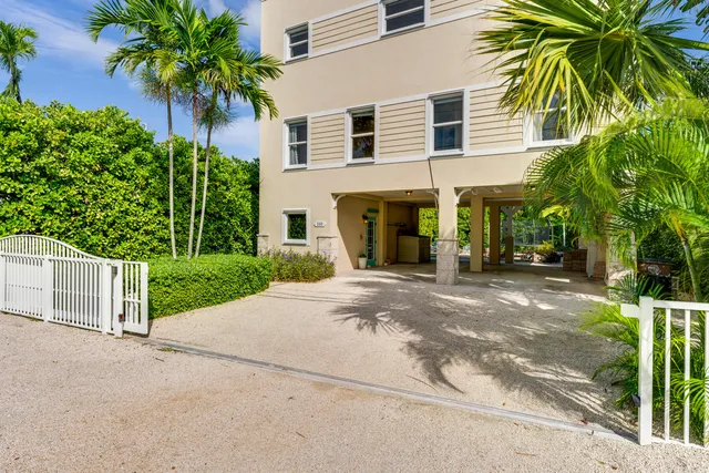 a view of a house with a yard and plant