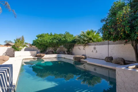 a view of a backyard with plants and a patio