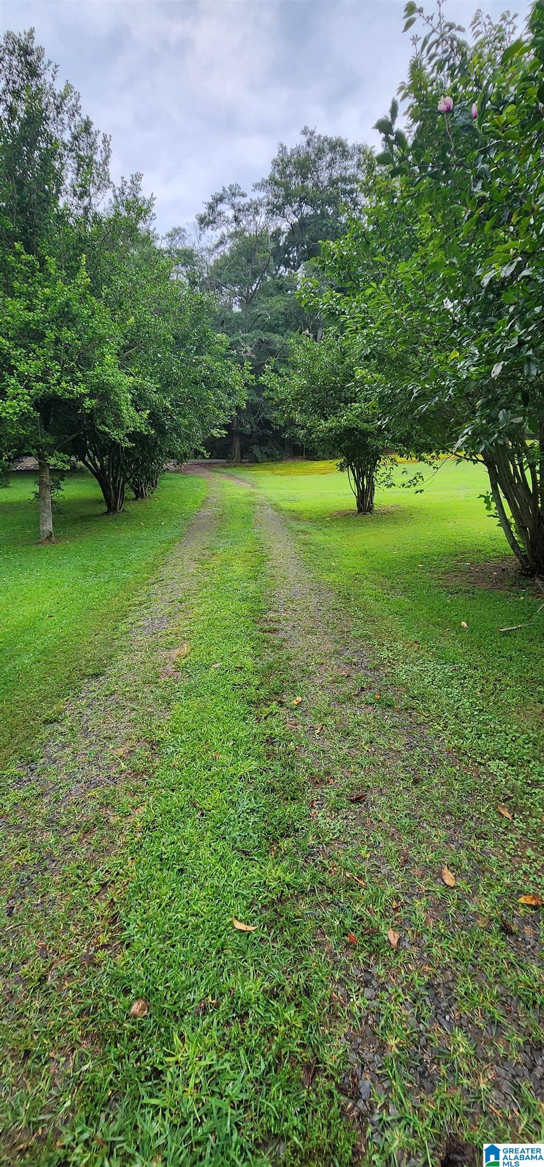 368 Dodd Road Altoona, AL 35952 - Photo 2 of 54