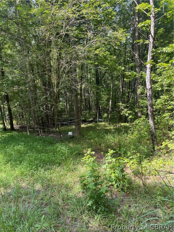 9712 Indian Road Gloucester, VA 23061 - Photo 4 of 7 Gallery Image 4