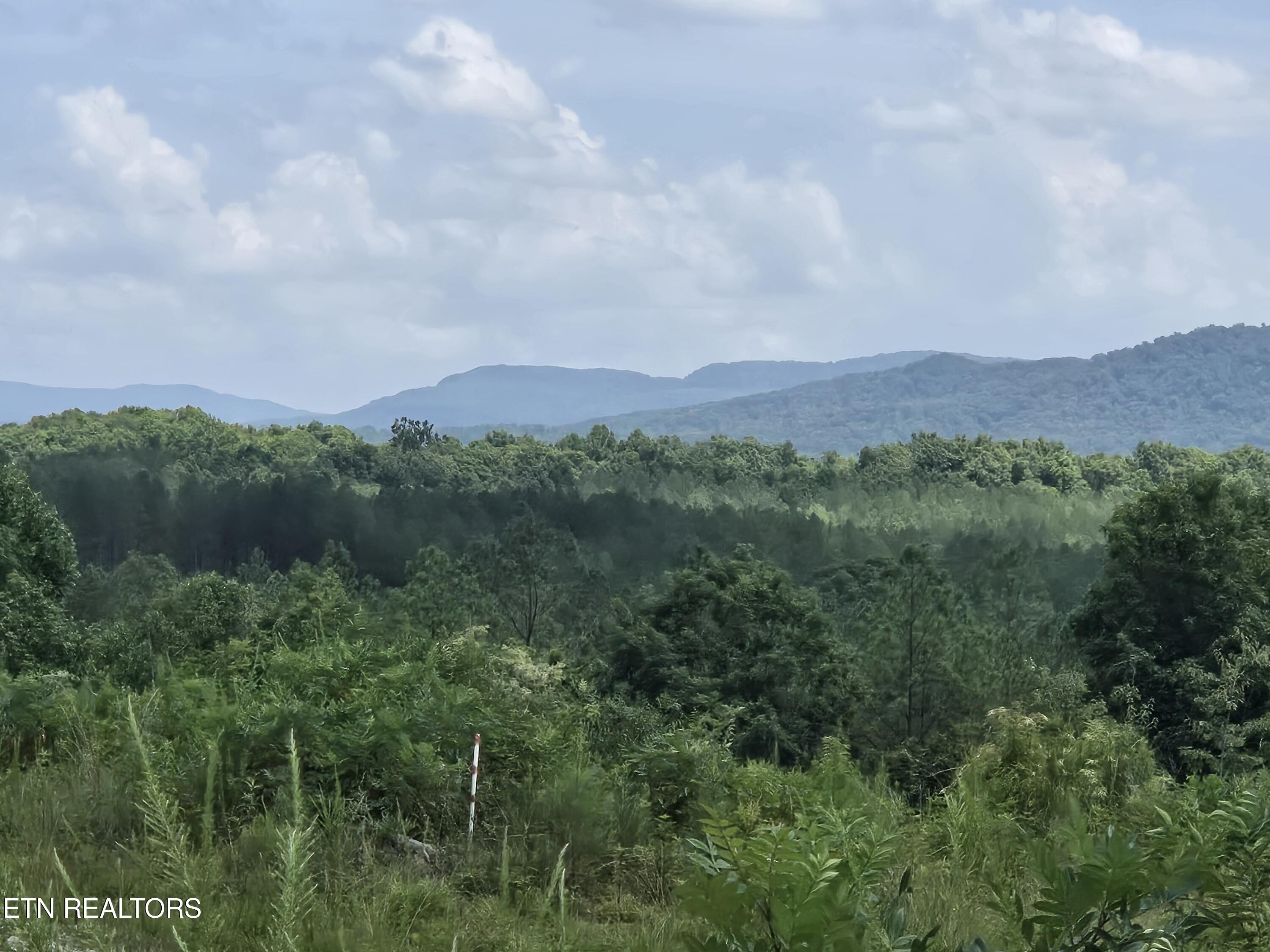 Owl Ridge Way Sunbright, TN 37872 - Photo 2 of 5 20260703_143629