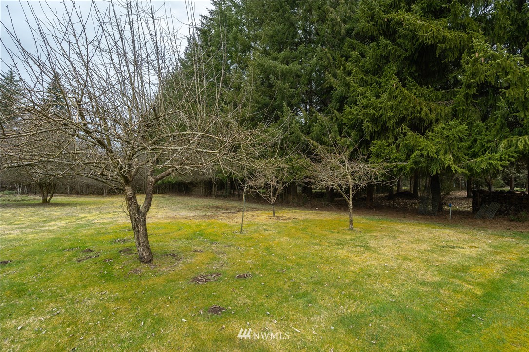 196 Vista Road Chehalis, WA 98532 - Photo 22 of 25