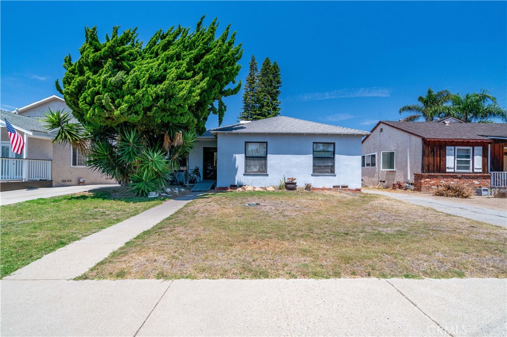 a view of a house with small yard plants and palm tree