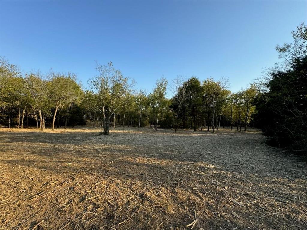 0 Fm Road Mabank, TX 75147 - Photo 12 of 14 a view of outdoor space with trees all around