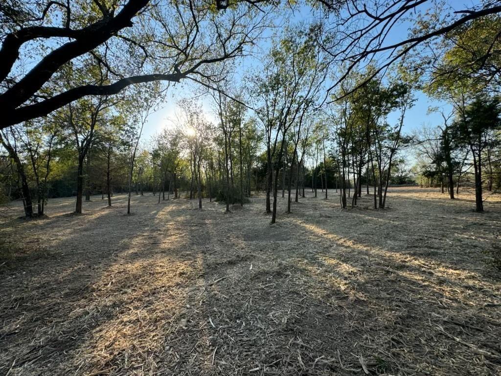 0 Fm Road Mabank, TX 75147 - Photo 13 of 14 a view of outdoor space with trees