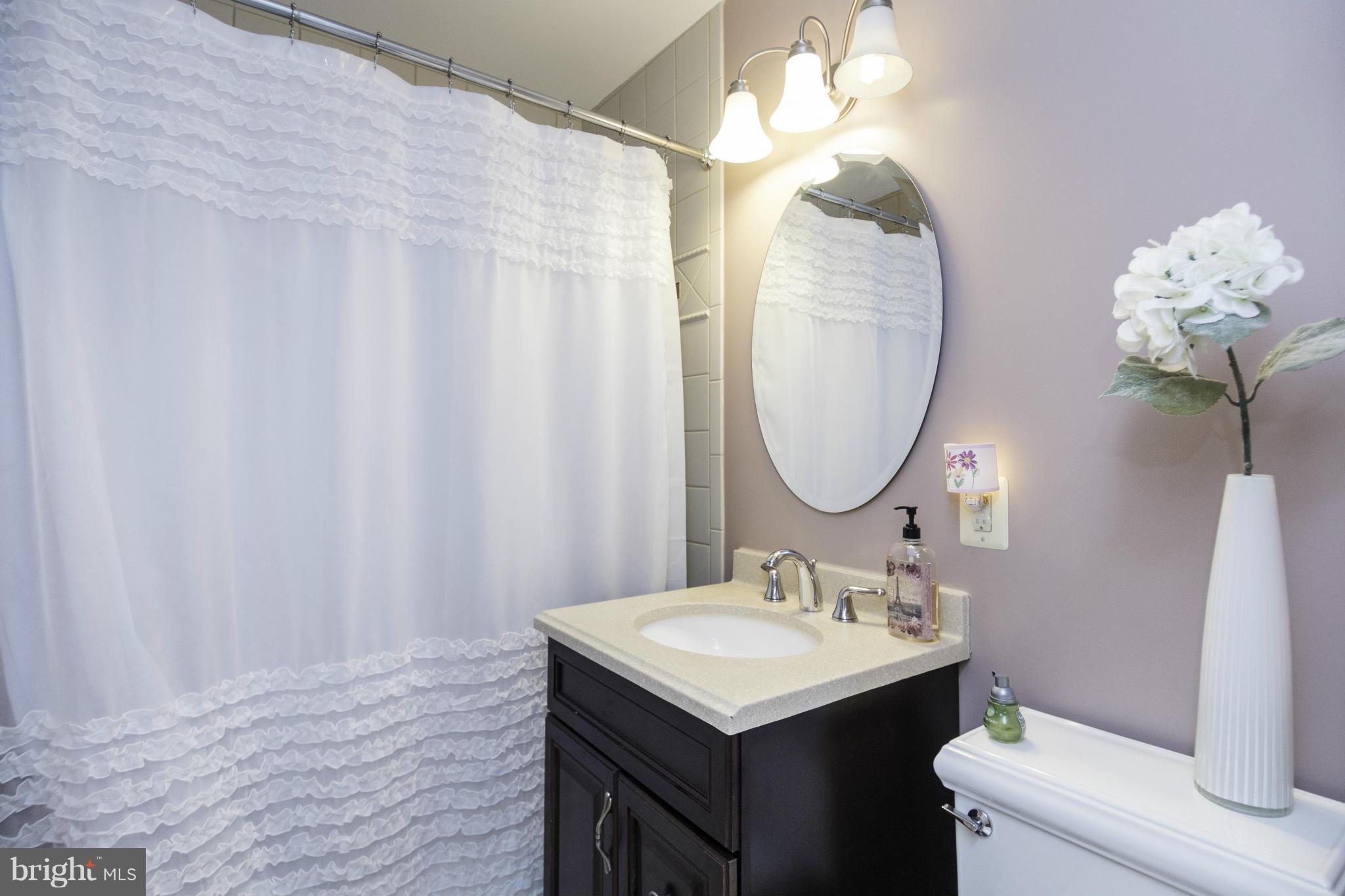 6600 Pine Road Alexandria, VA 22312 - Photo 17 of 28 a bathroom with a sink vanity and a mirror
