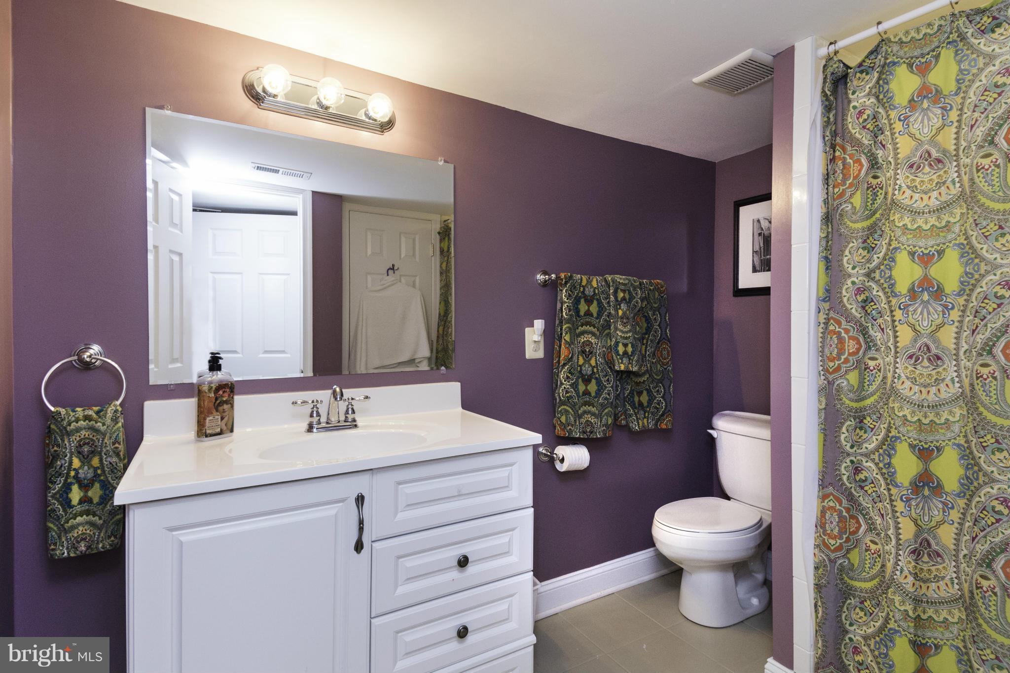 6600 Pine Road Alexandria, VA 22312 - Photo 21 of 28 a bathroom with a sink a toilet and shower