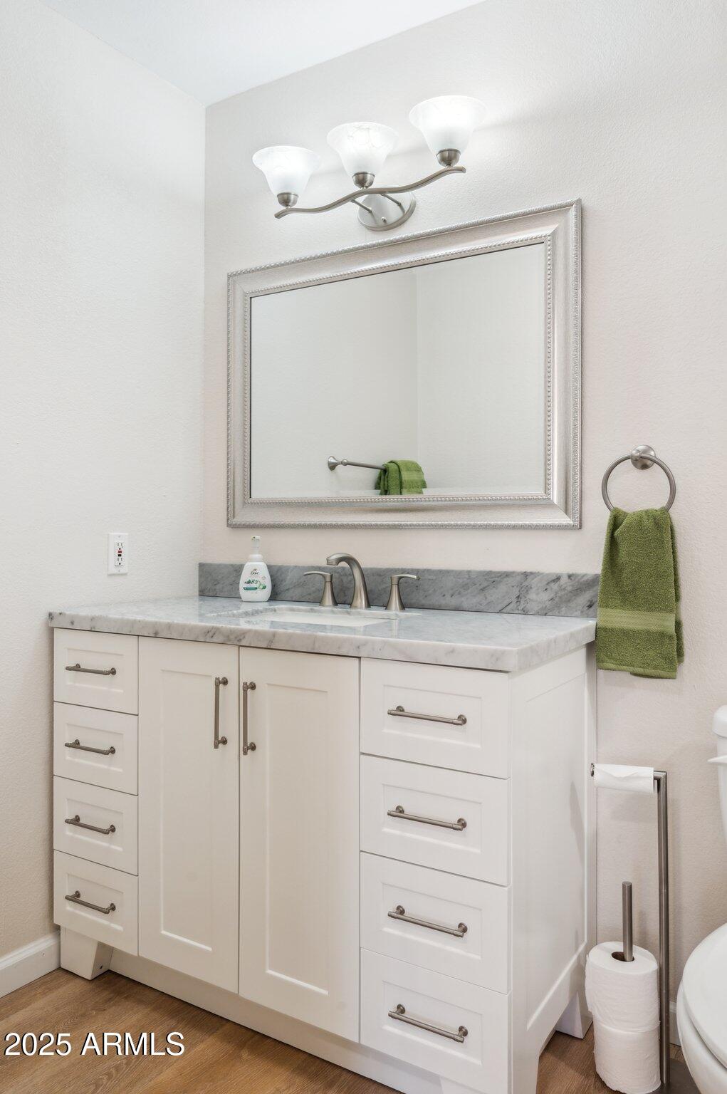 1021 South Greenfield Road, Unit 1106 Mesa, AZ 85206 - Photo 12 of 36 Second bathrm vanity