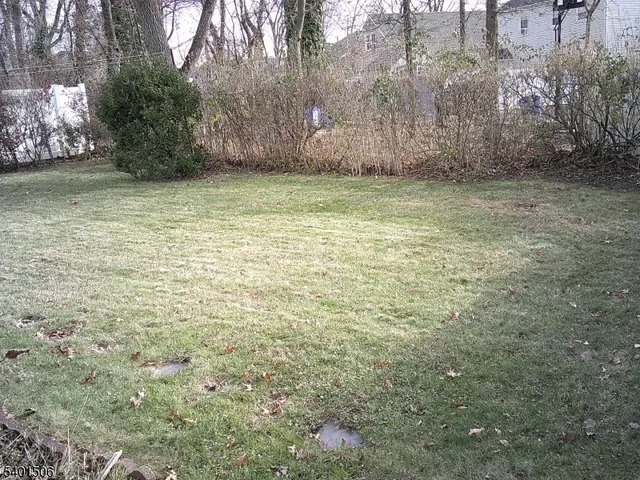 a view of a yard with a bench