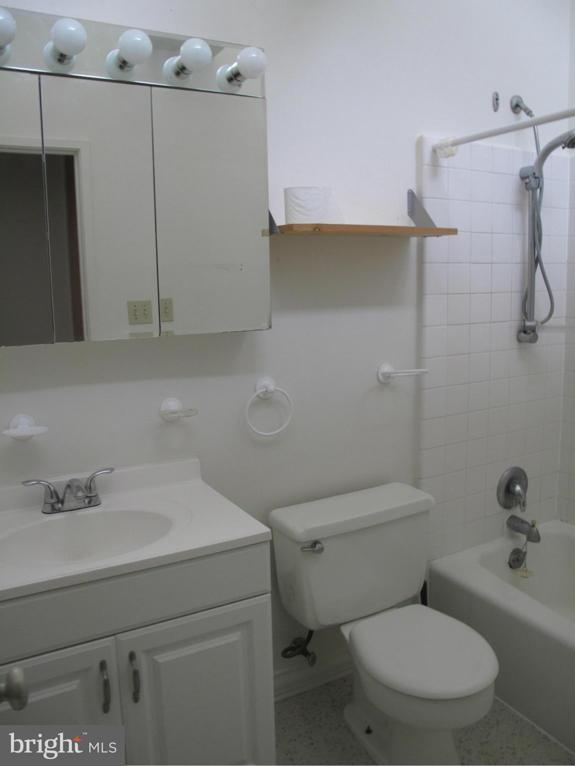 11514 Hickory Cluster Reston, VA 20190 - Photo 10 of 18 Bath