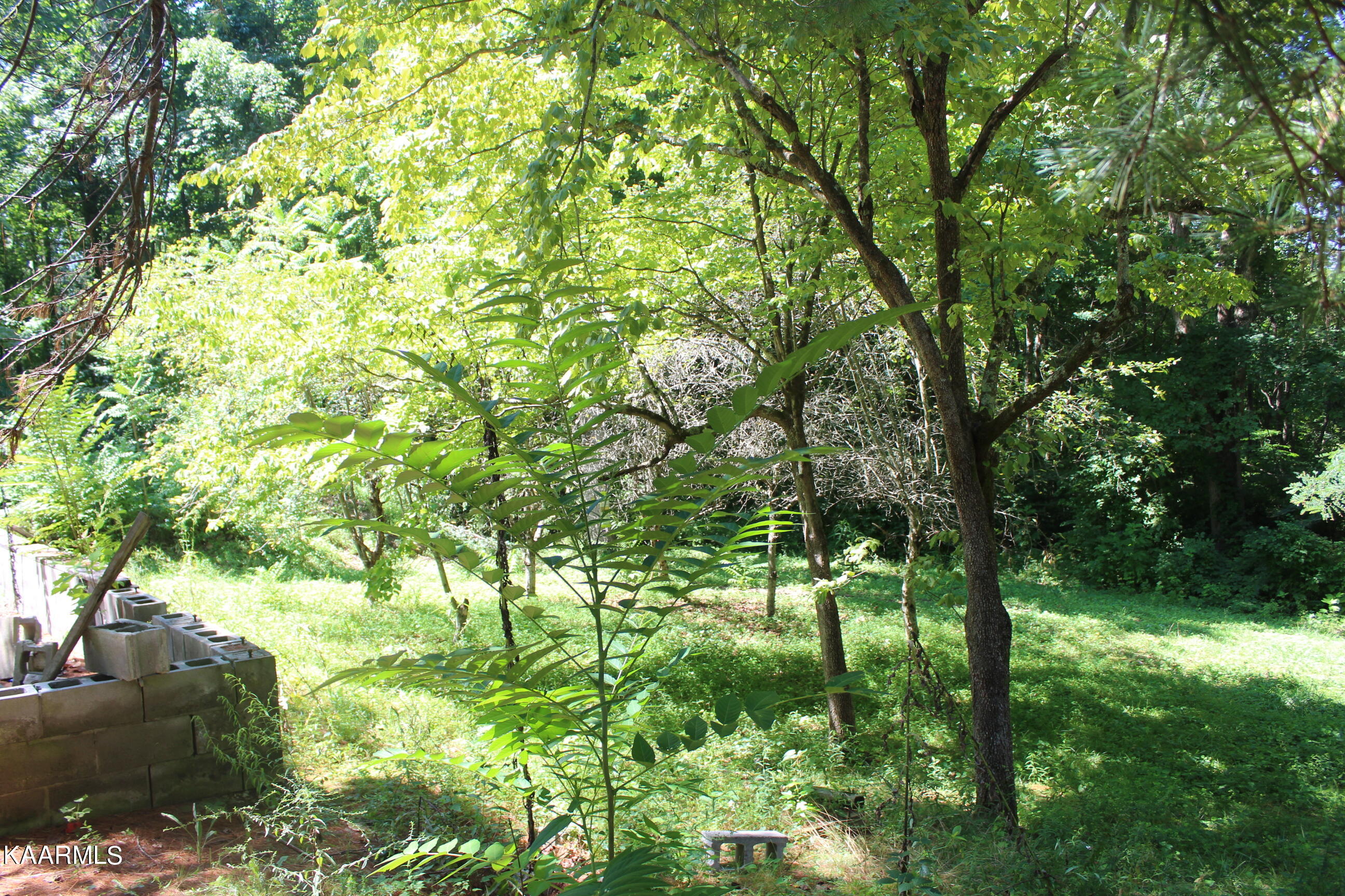 1060 Star Point Road Jamestown, TN 38556 - Photo 11 of 32 011
