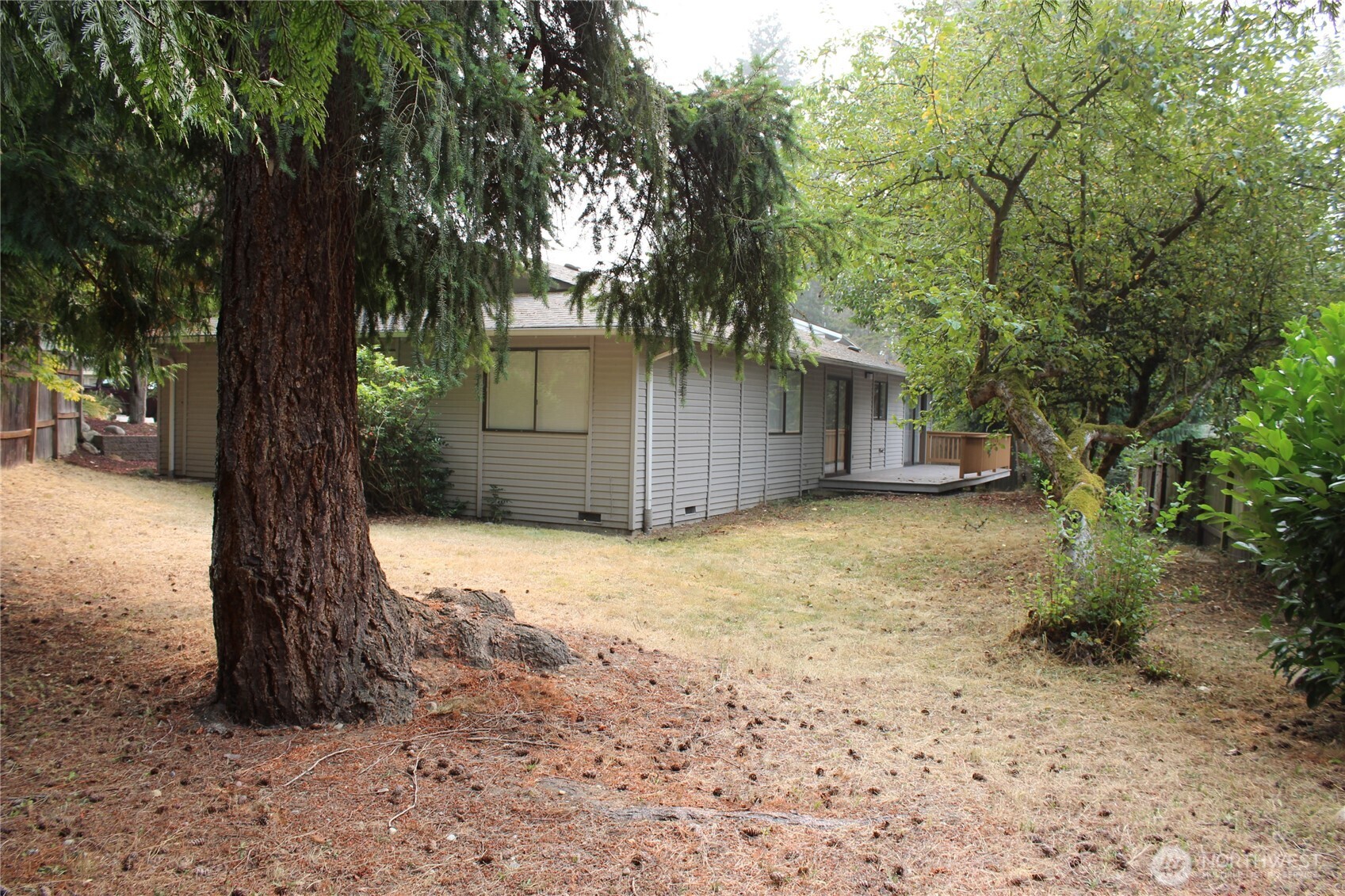 419 156th Place Northeast Bellevue, WA 98008 - Photo 22 of 22 a view of a backyard with large tree and wooden fence